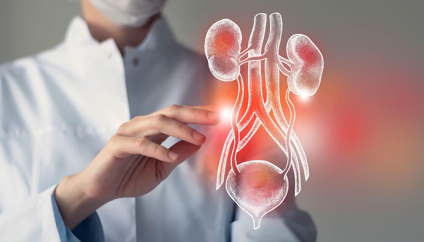 Understanding Urinary Tract Symptoms: Causes, Signs, and When to See a Doctor