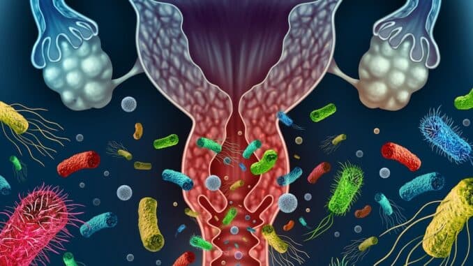 Why Your Vaginal Microbiome Stability Matters